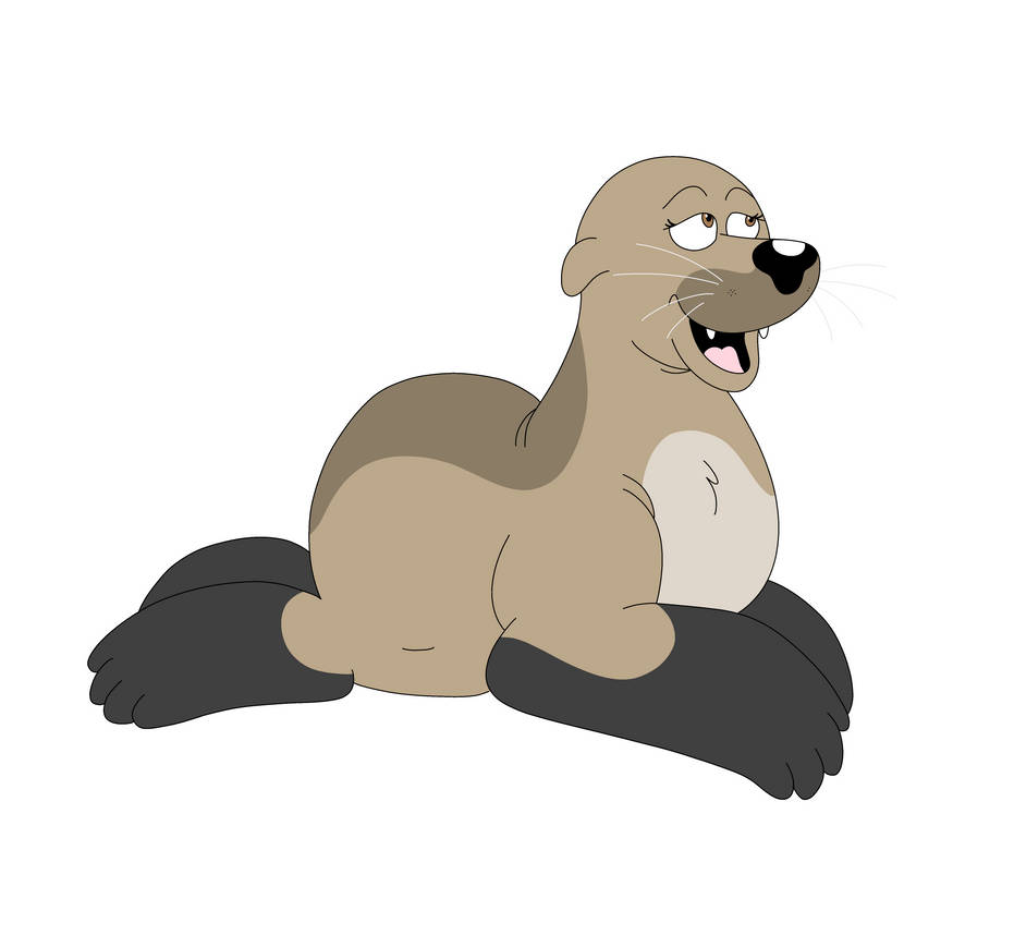 South American Fur Seal By Luvi Wallpaper