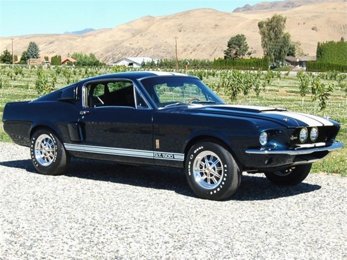 Used Nightmist Blue Ford Mustang Shelby Gt For Sale In Call