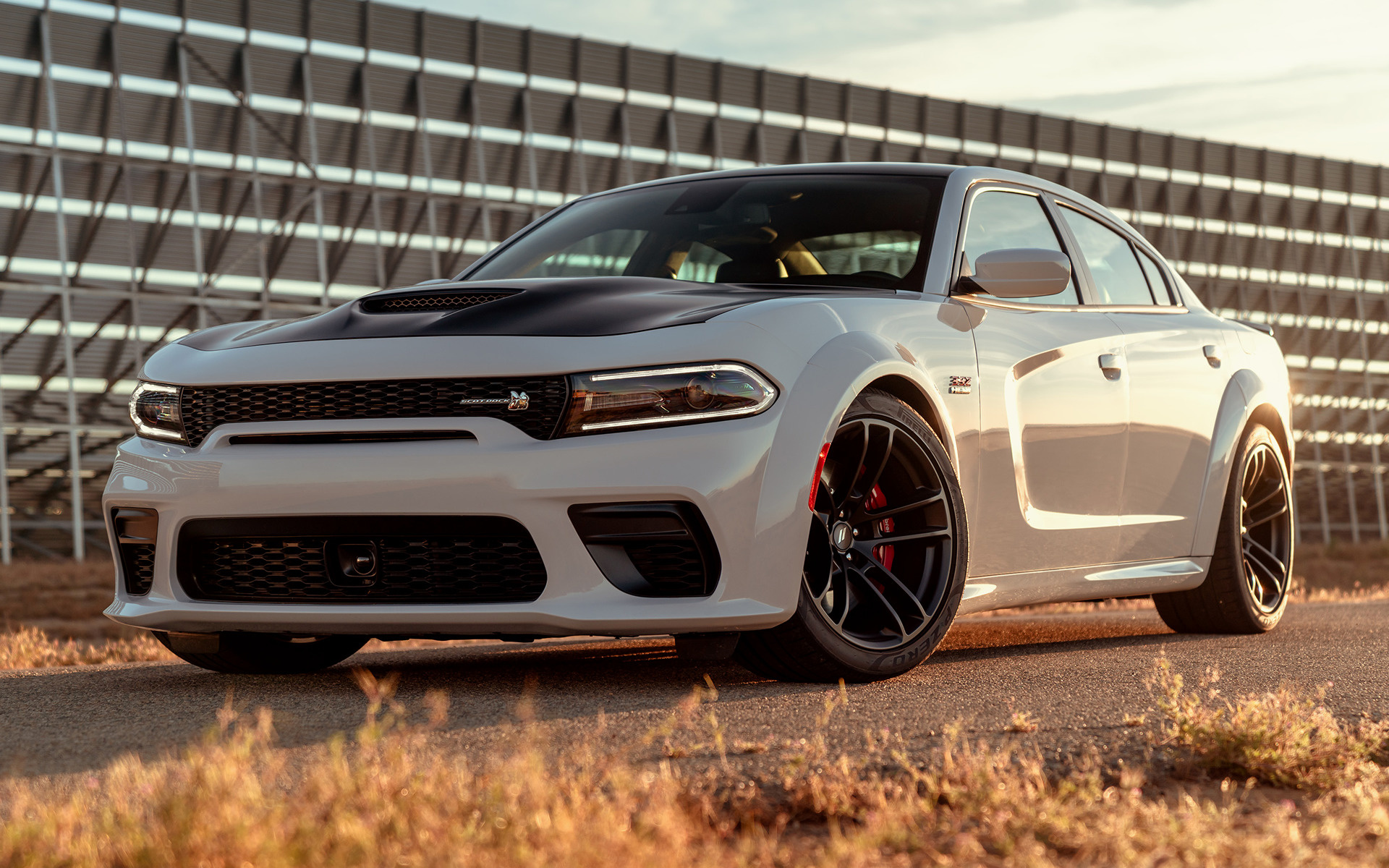 Dodge Charger Scat Pack Widebody Wallpaper Teahub Io