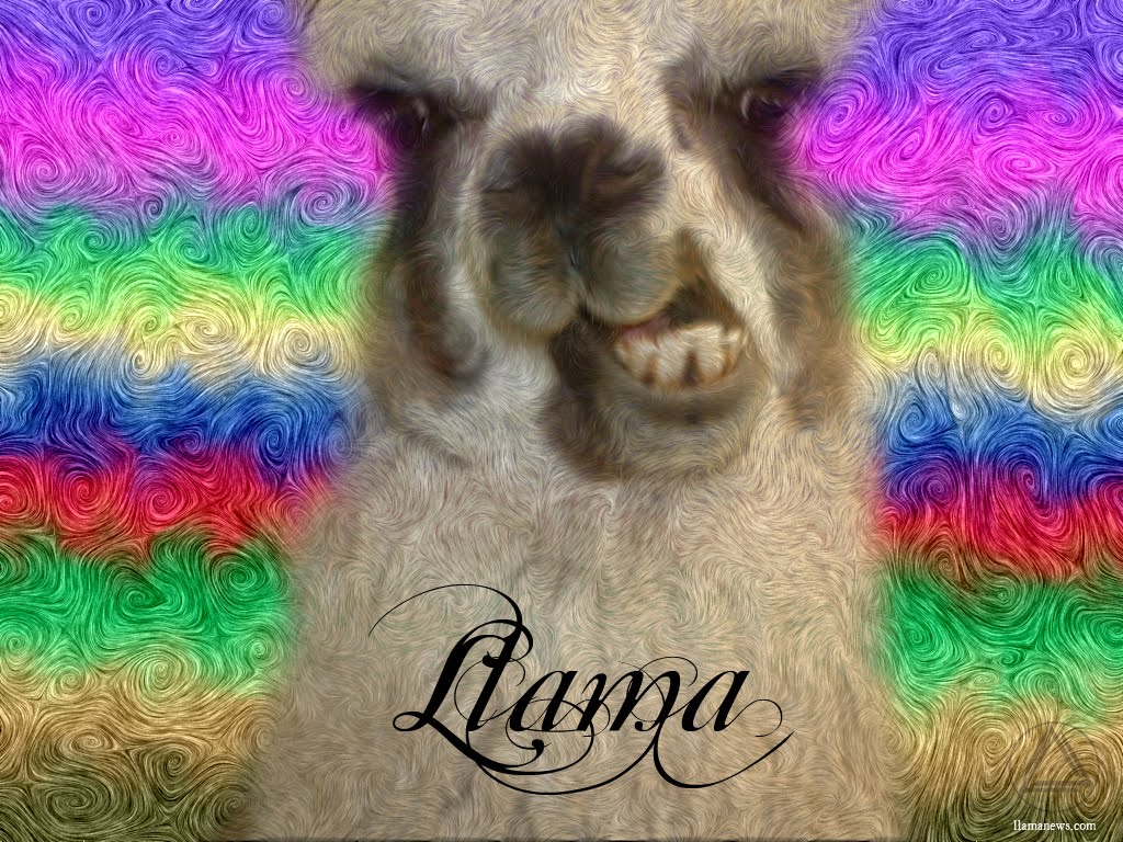 Kelly Llama Background