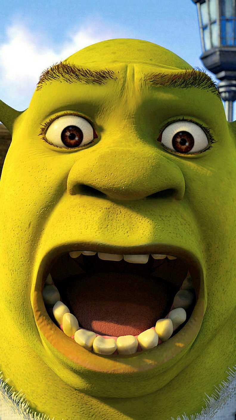 Shrek Cartoon Wallpaper for iPhone 11 Pro Max X 8 7 6  Free Download  on 3Wallpapers