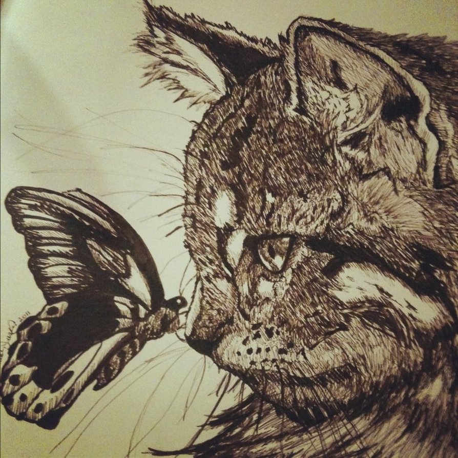 Pen and Ink Cat by Taters7 on