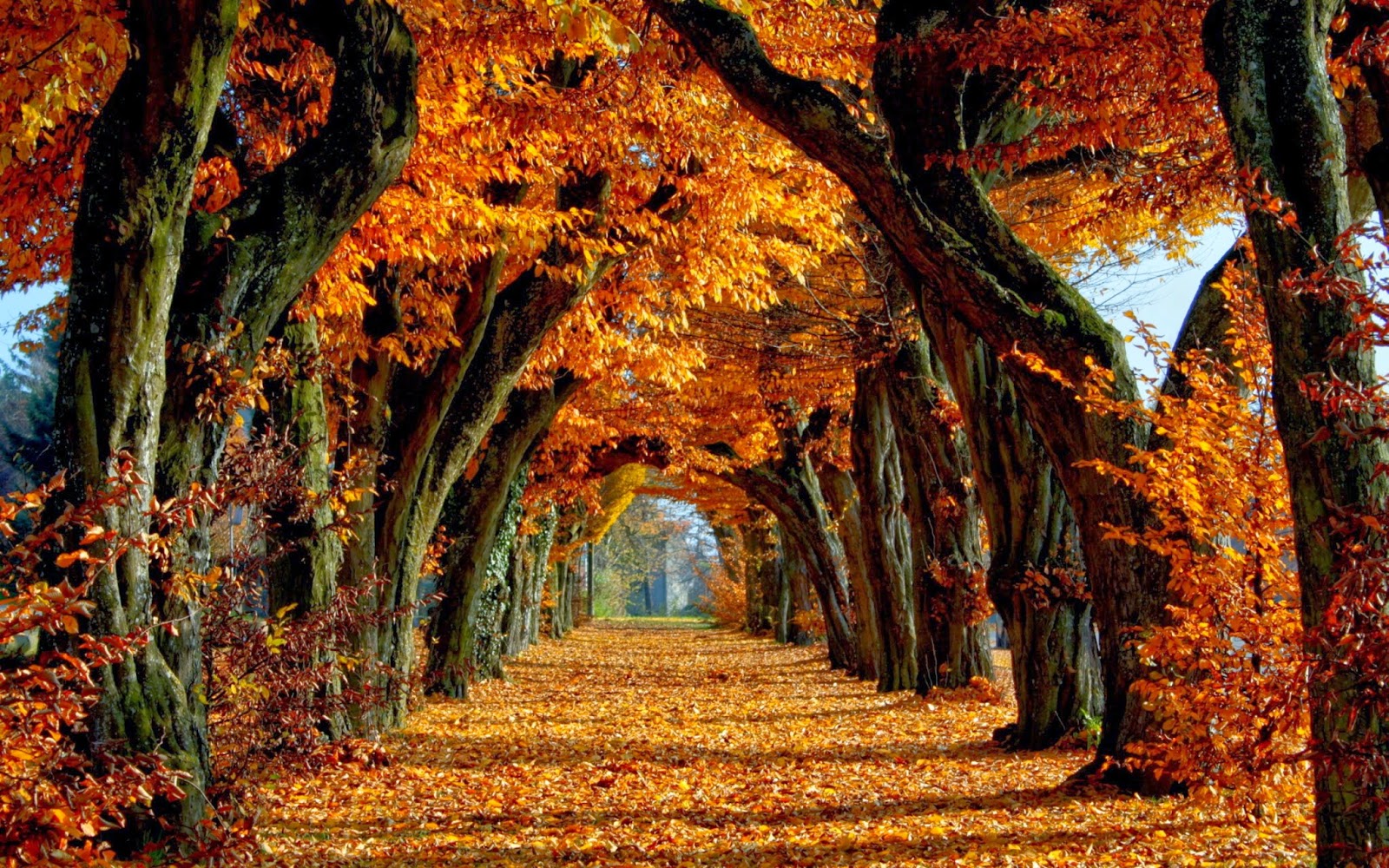 Autumn Desktop Wallpaper Picture Gallery