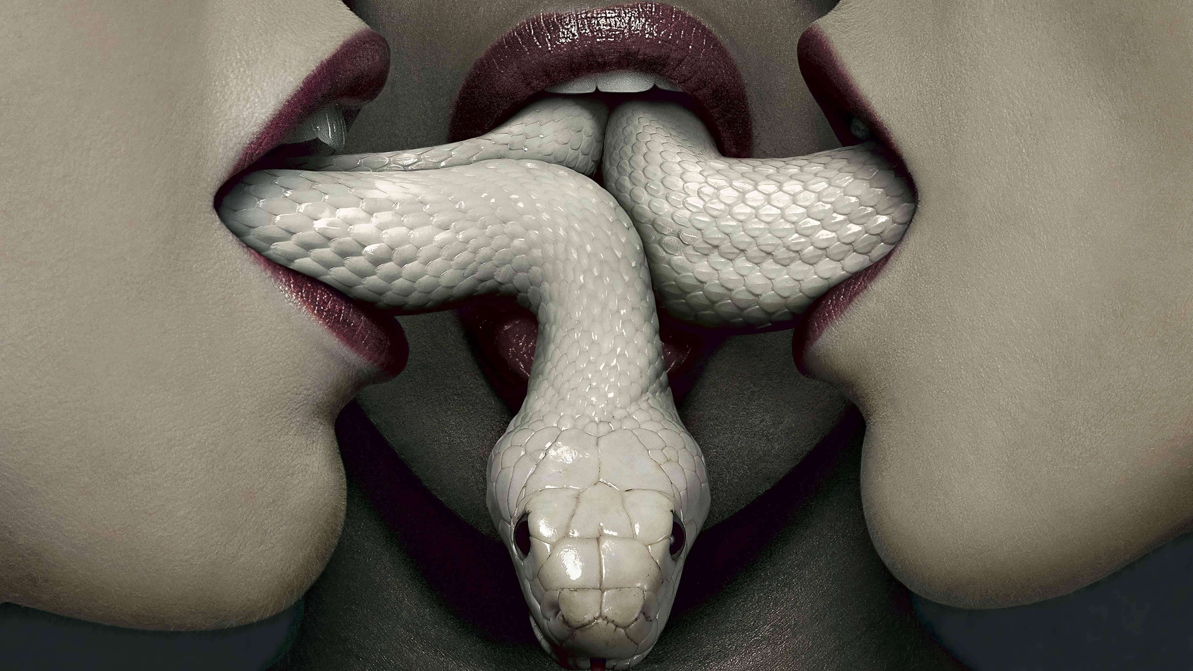 TV Show   American Horror Story Coven Wallpaper 4100x2306