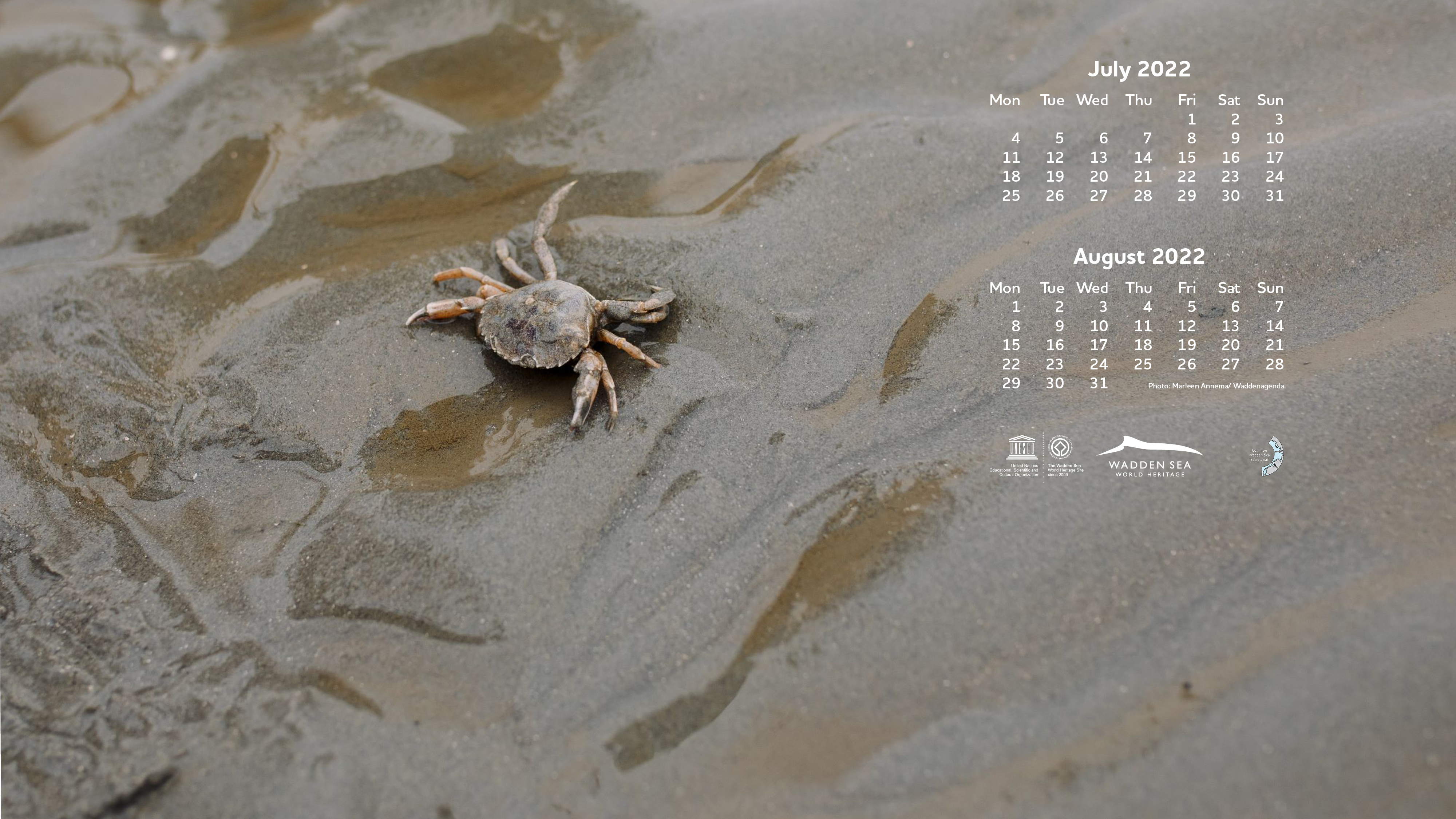 Wadden Sea Digital Calendar