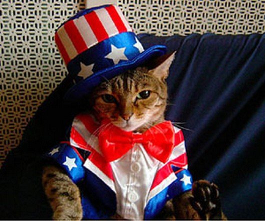 Funny Photos Cats Cat Holiday Patriotic 4th Of July