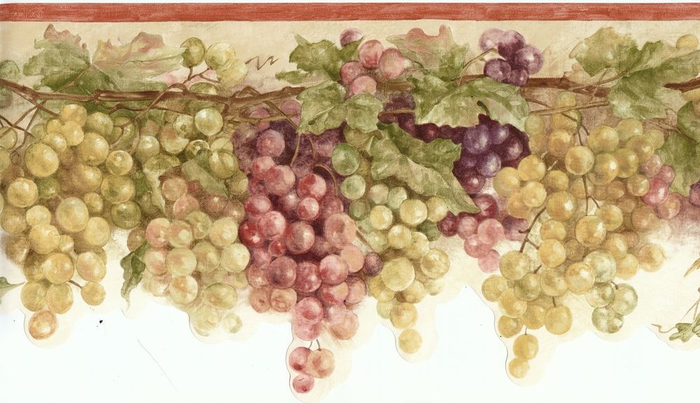 Eb064101d Laser Cut Grapes Vine Berry Wallpaper Border