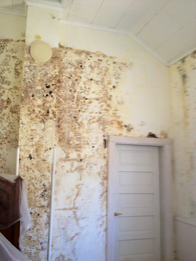 April Interior S Of Mold Problem Under The Old Wallpaper At