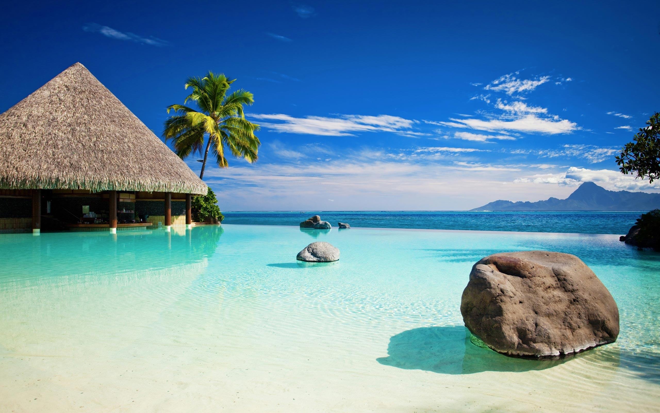 Tropical Wallpapers Backgrounds   Download free Tropical Publishe