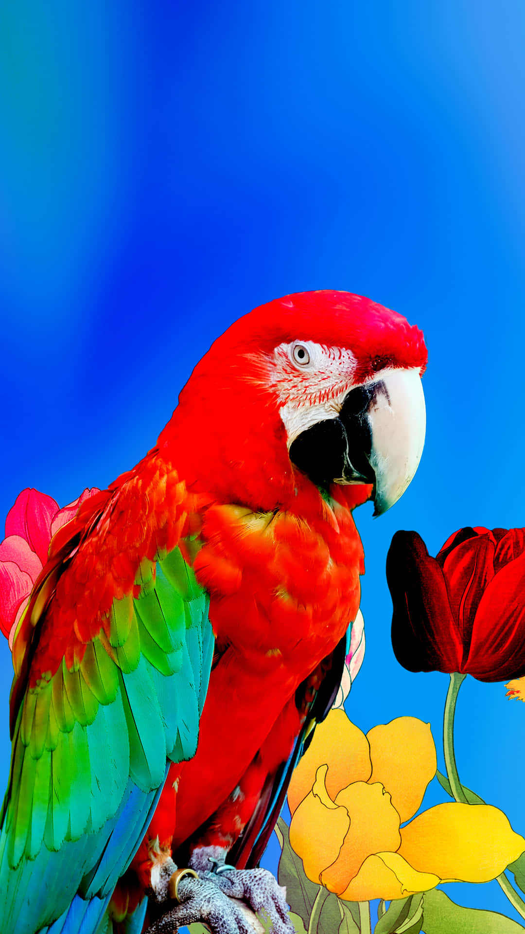 Parrot Among Drawn Flowers 7a0h7ku0y4dti9x5 Wallpaper