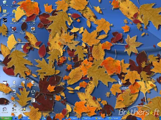 Desktop Autumn Screensaver