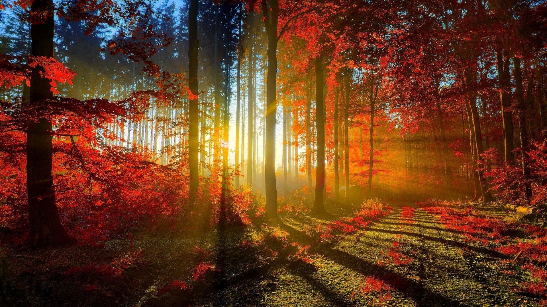 Of Beautiful Wallpaper Group