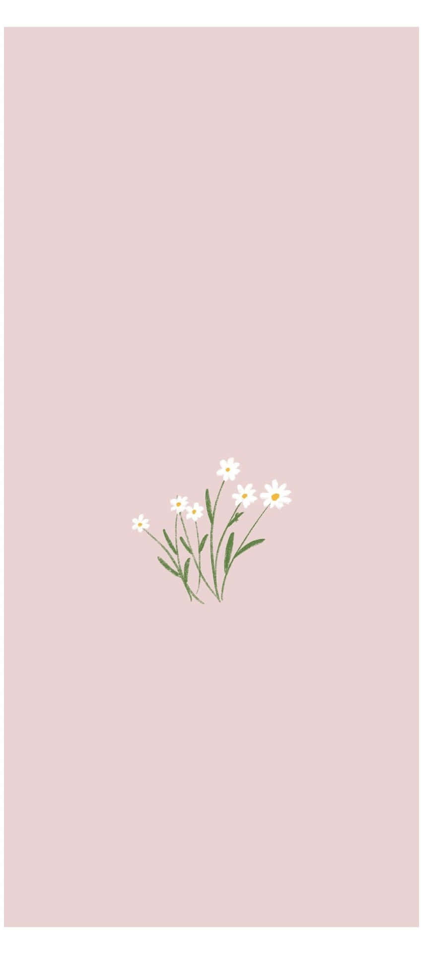 Minimalist Flower Aesthetic Wallpaper