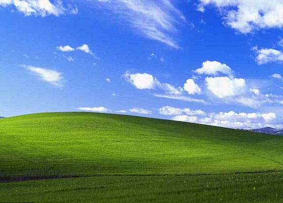 The Story Behind Windows Xp Bliss Background