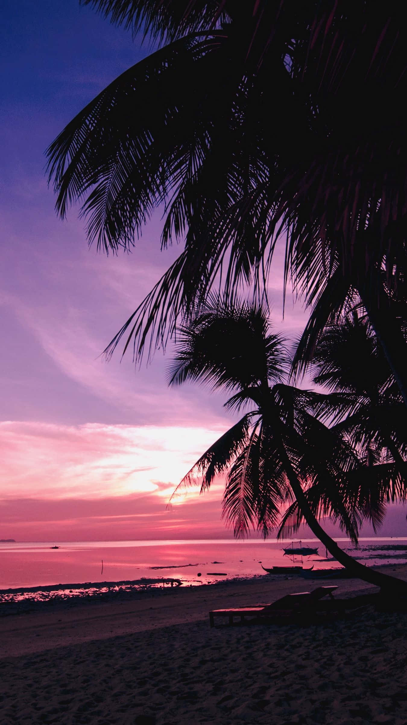 Palm Tree Beach Wallpaper