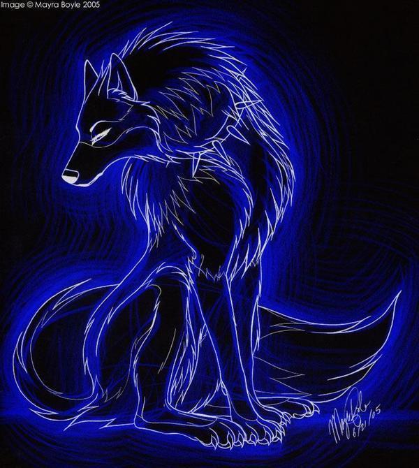Wolf Anime Animal Photo