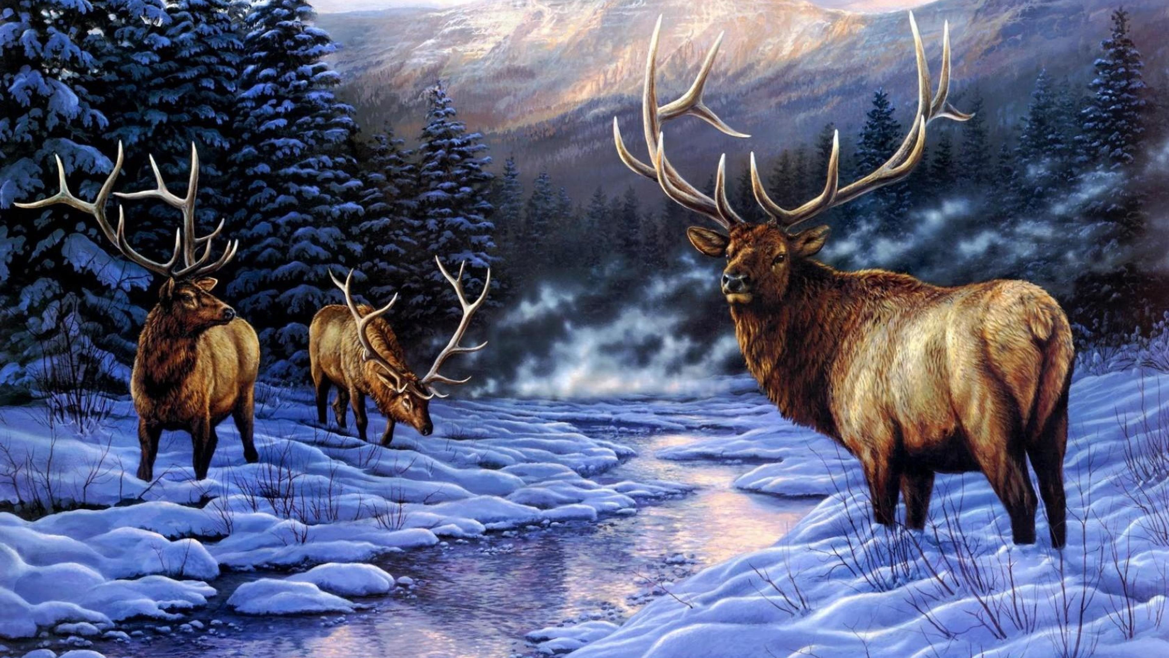 Elk Wallpaper For iPad