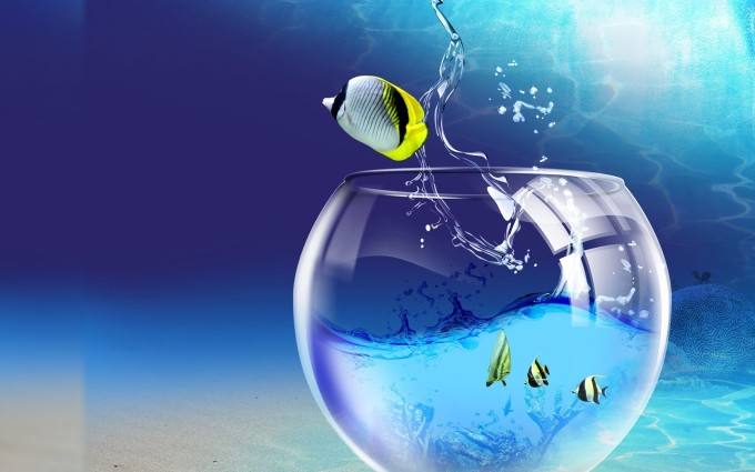 Fish Bowl In 3d Abstract HD Wallpaper
