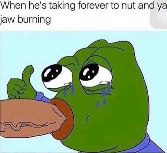 funny pictures meme pepe pepe the frog   image 3795025 by violanta 552x507