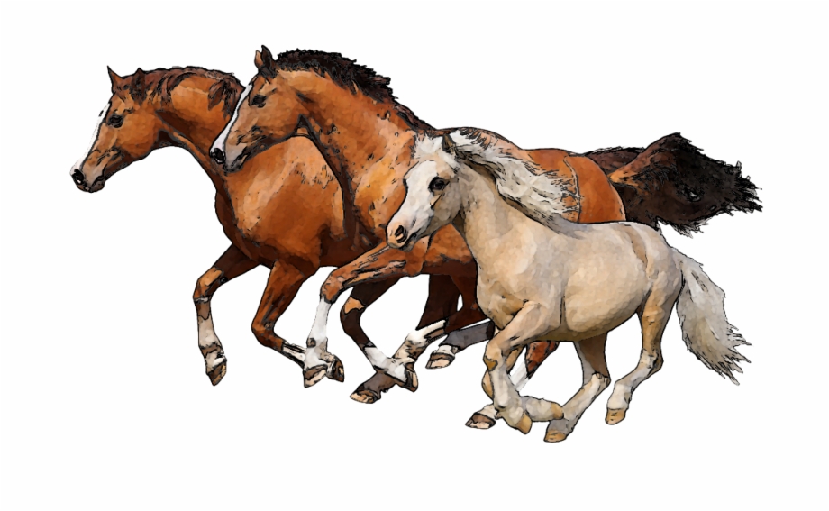 Horse Png Transparent Image Background