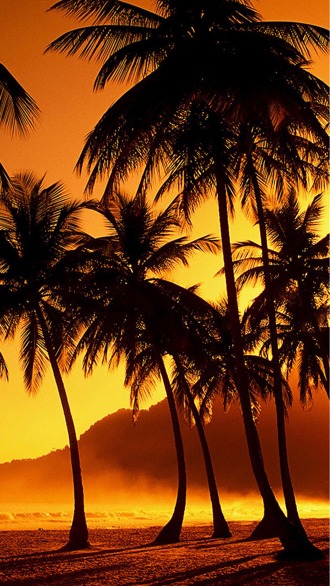 Nature Sunset Beach Coconut Grove iPhone Plus Wallpaper