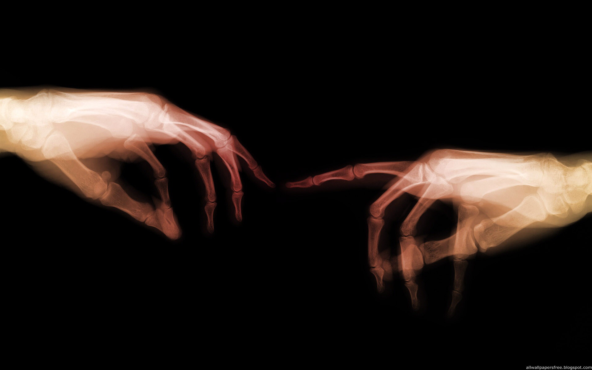 Image X Ray Hands Wallpaper And Stock Photos