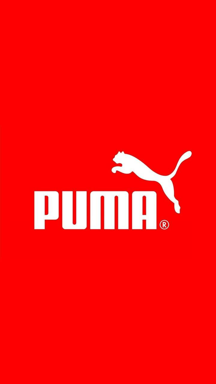 Puma Wallpapers For Mobile  Wallpaper Cave