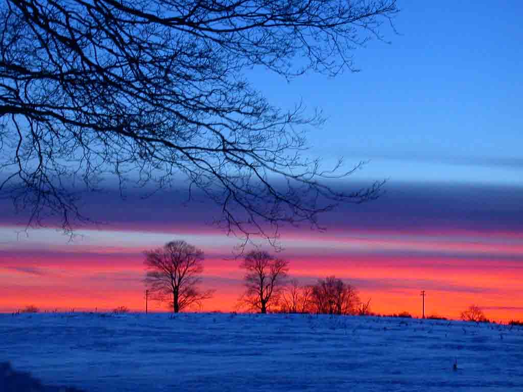 Winter Sunset Wallpaper HD High Definition