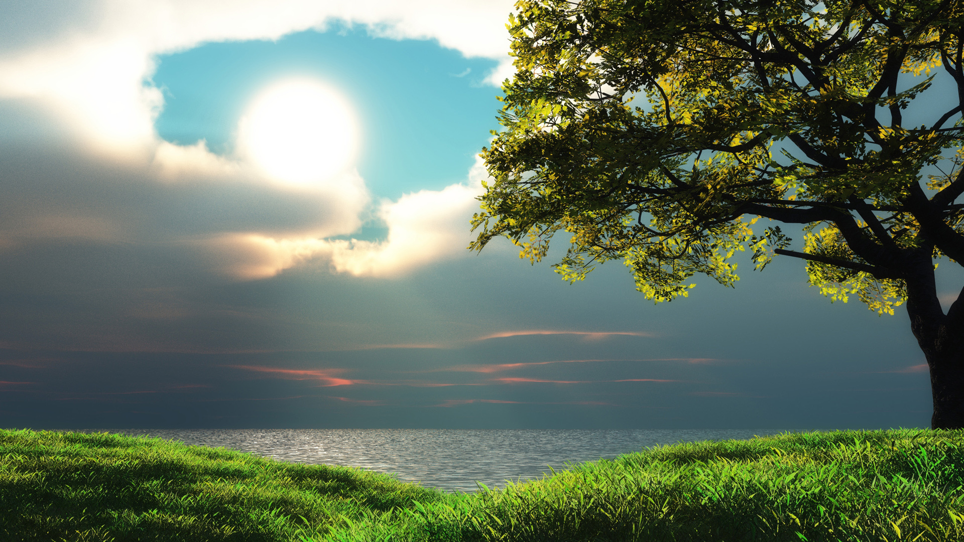 Nature Full HD Wallpaper National Geographic