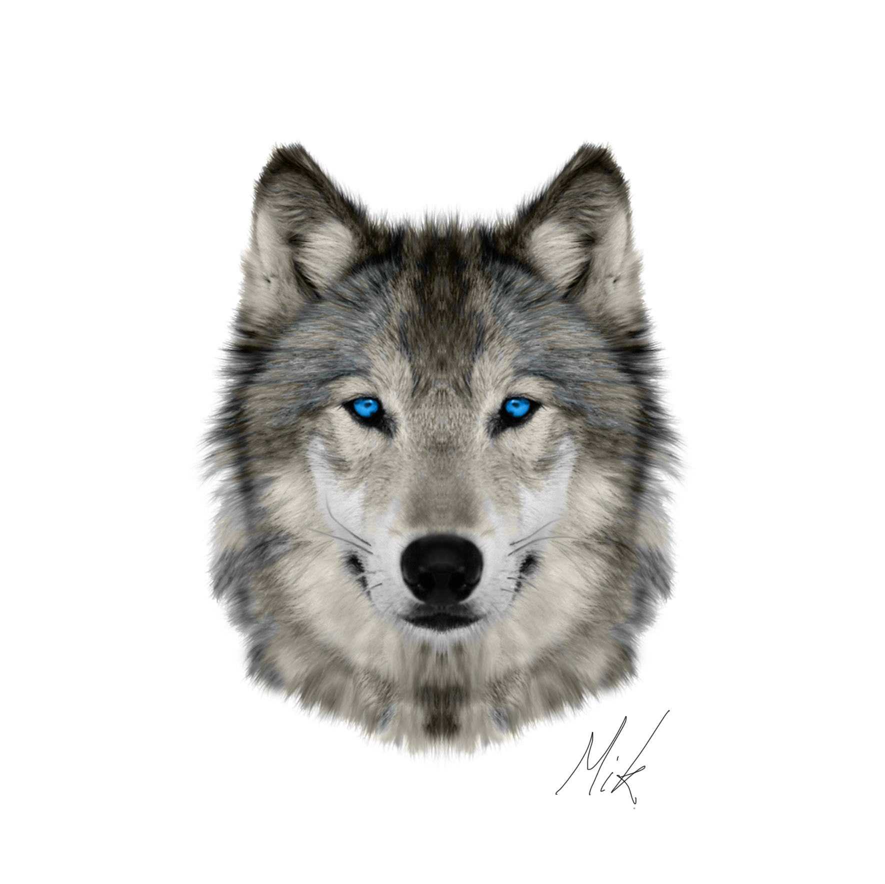 Wolf Face By Mikstyx