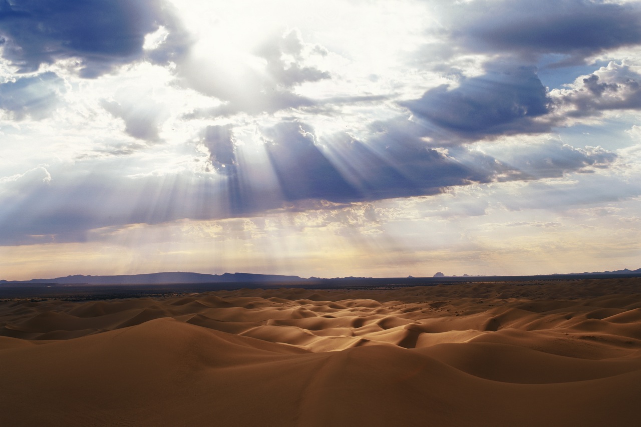 Atv Rentals Glamis Ocotillo Wells