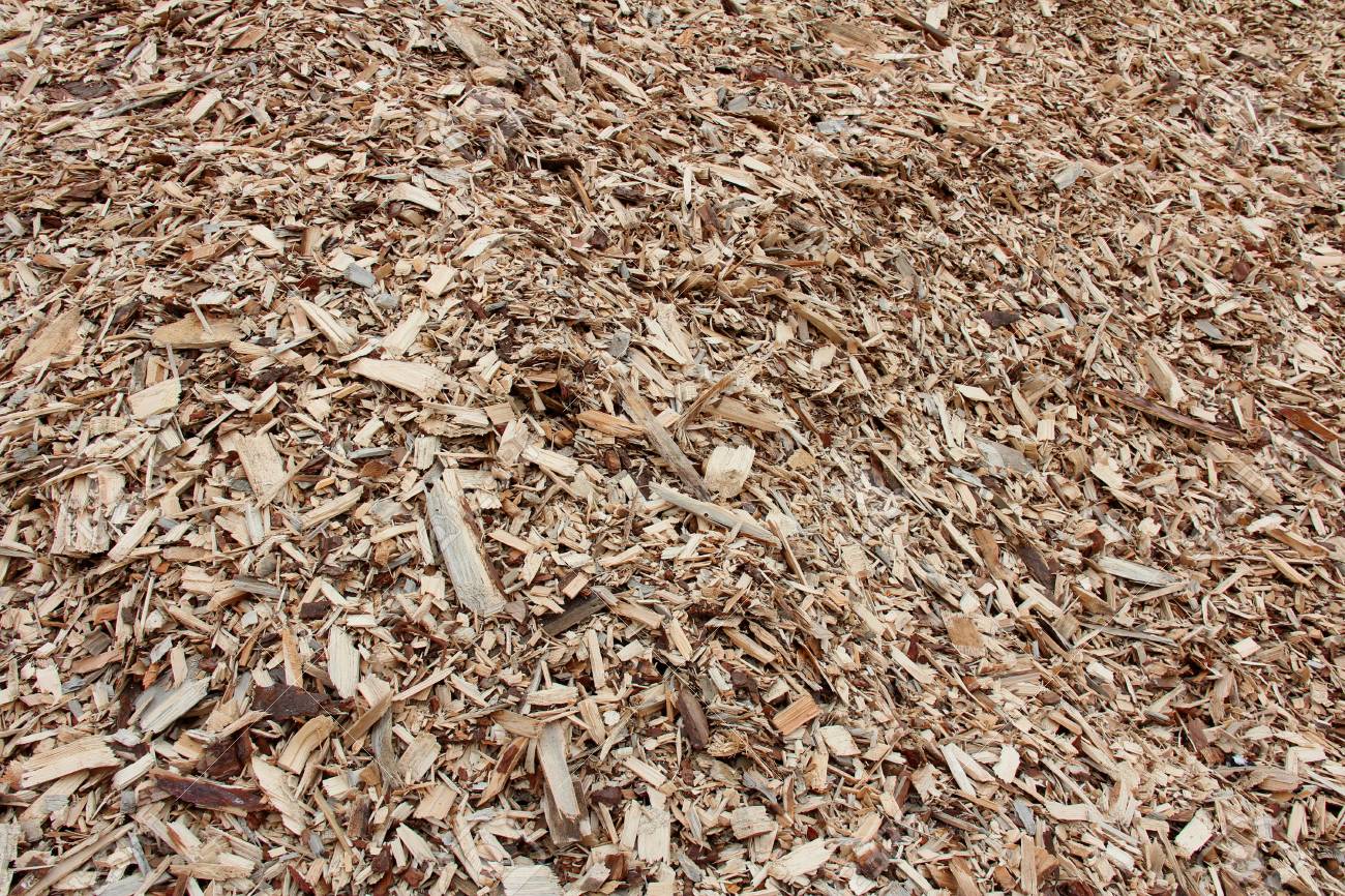 Background Of Woodchip For Biofuel Stock Photo Picture And