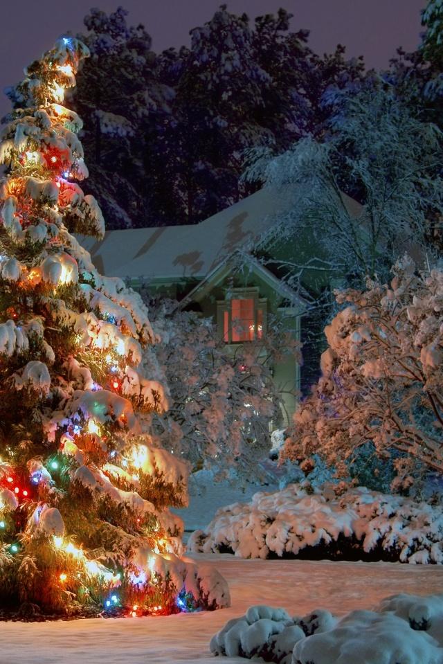 640x960 Outdoor Christmas tree Iphone wallpaper