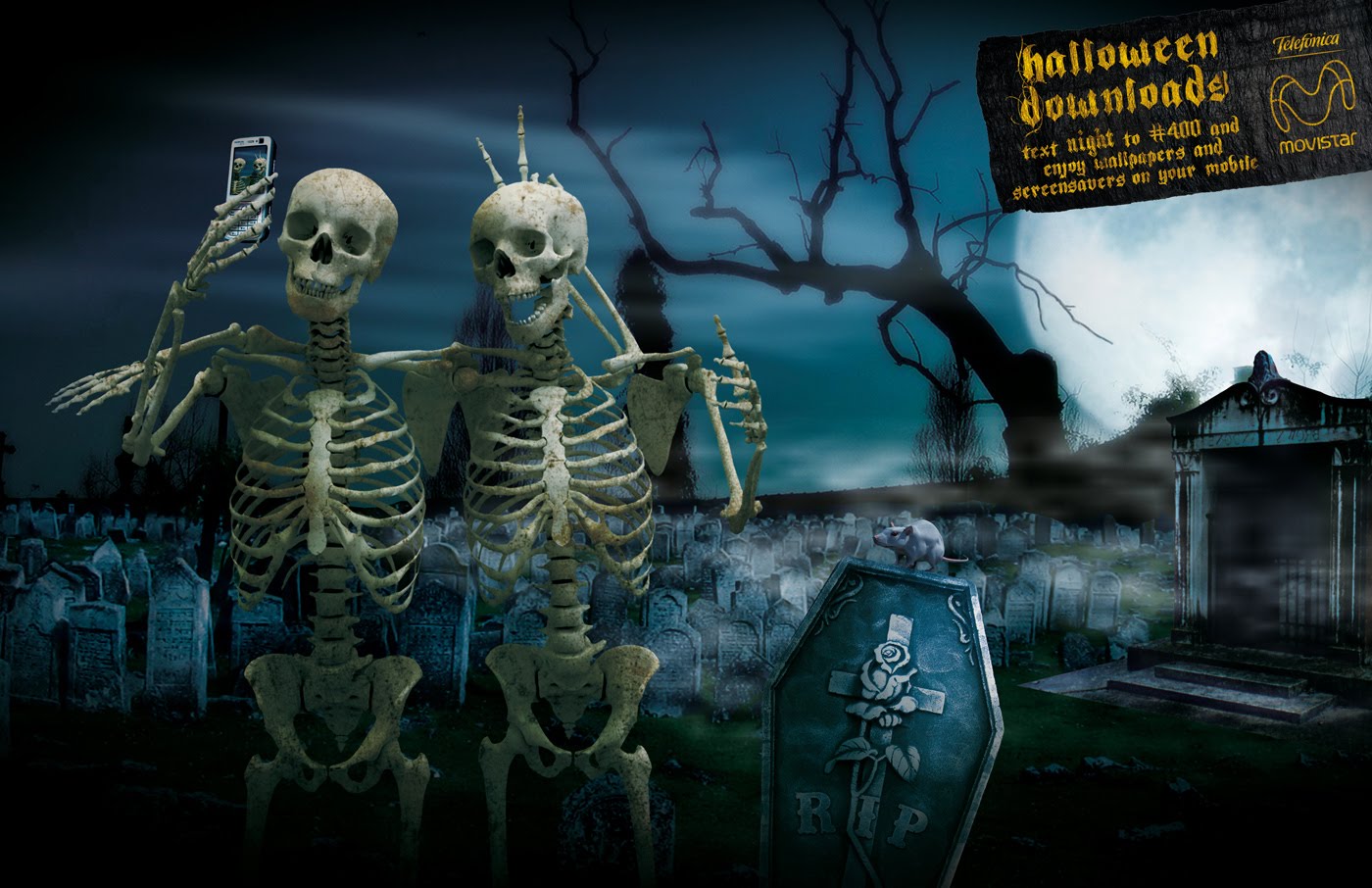 Halloween Wallpaper Mmw Dancing Skeleton