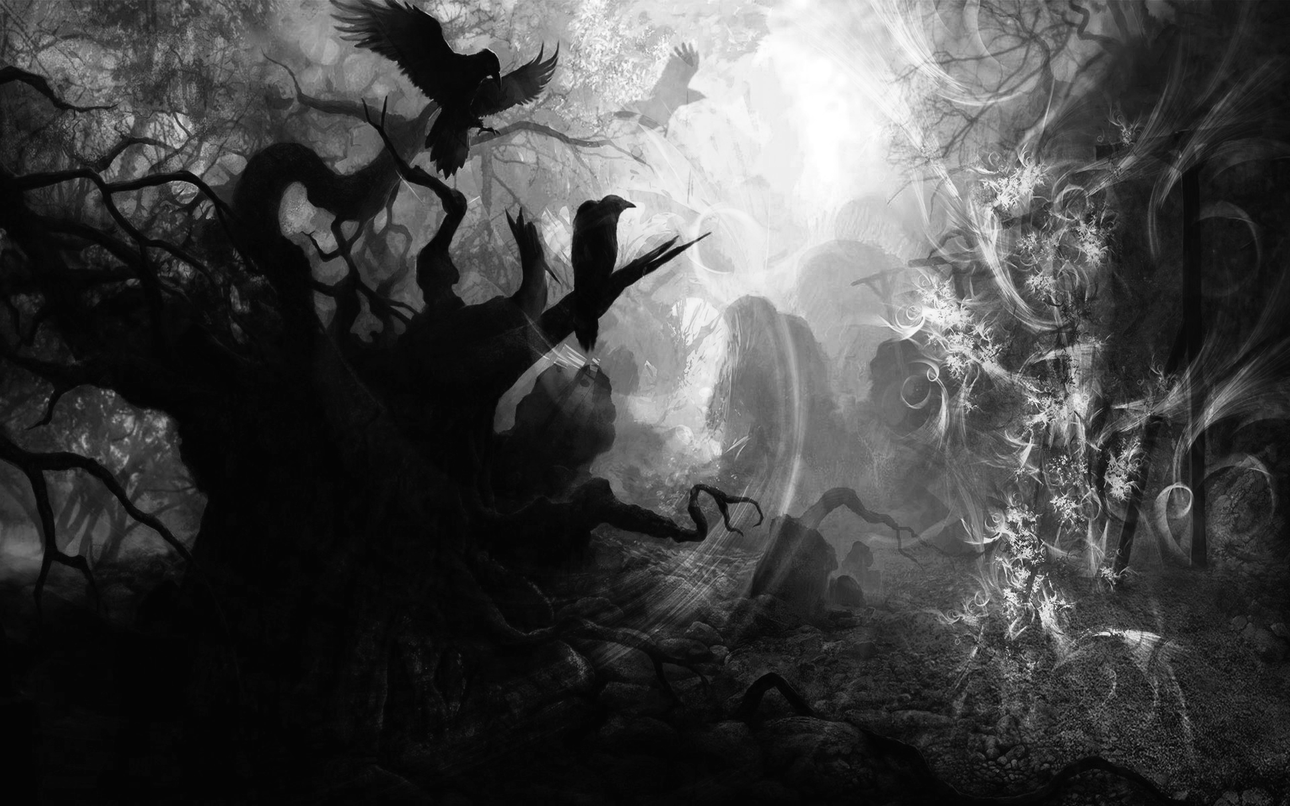 Dark Background Wallpaper