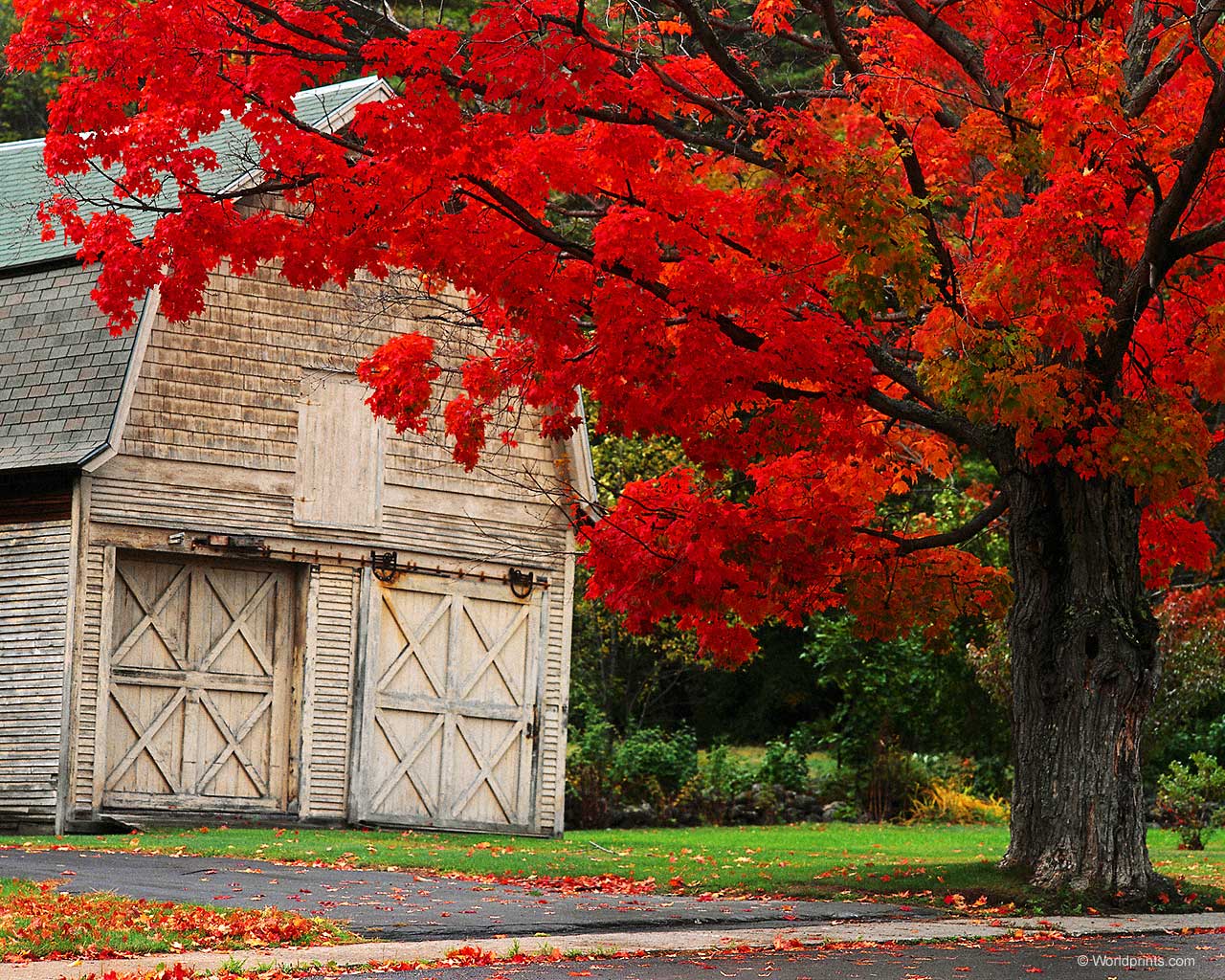 [36+] Fall Barn Desktop Wallpaper on WallpaperSafari