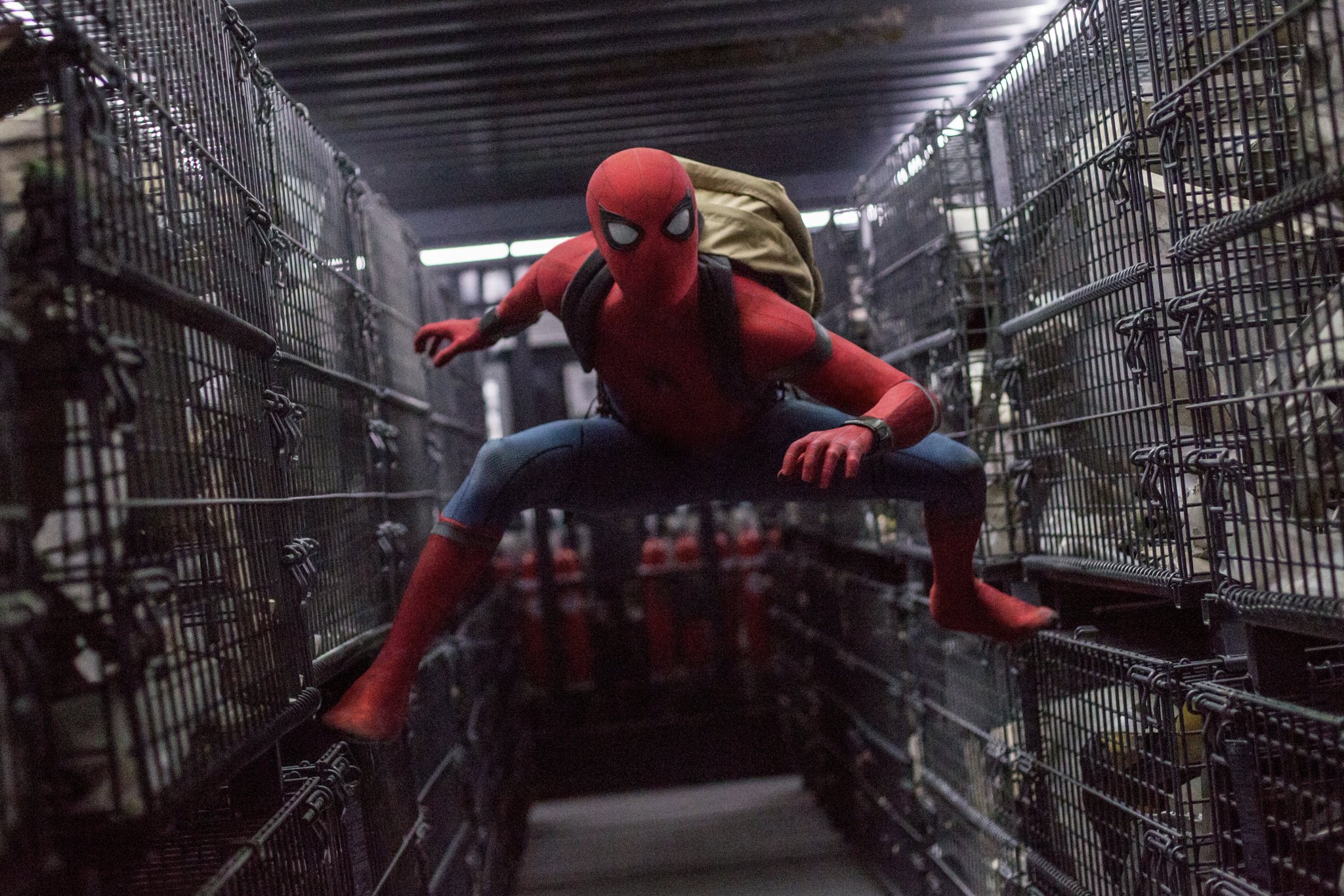 Spider Man Homeing HD Wallpaper Background Image