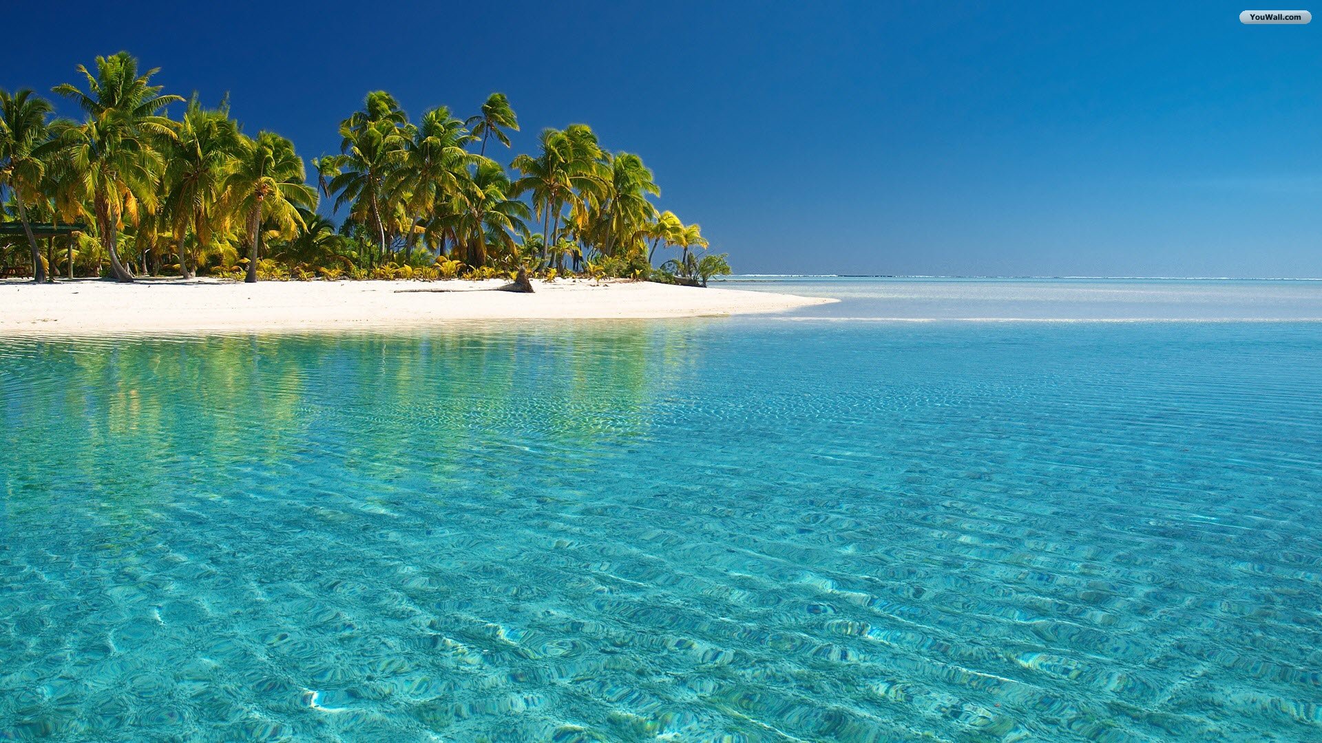 Beach Tropical Wallpaper Paradise Island Glass Water