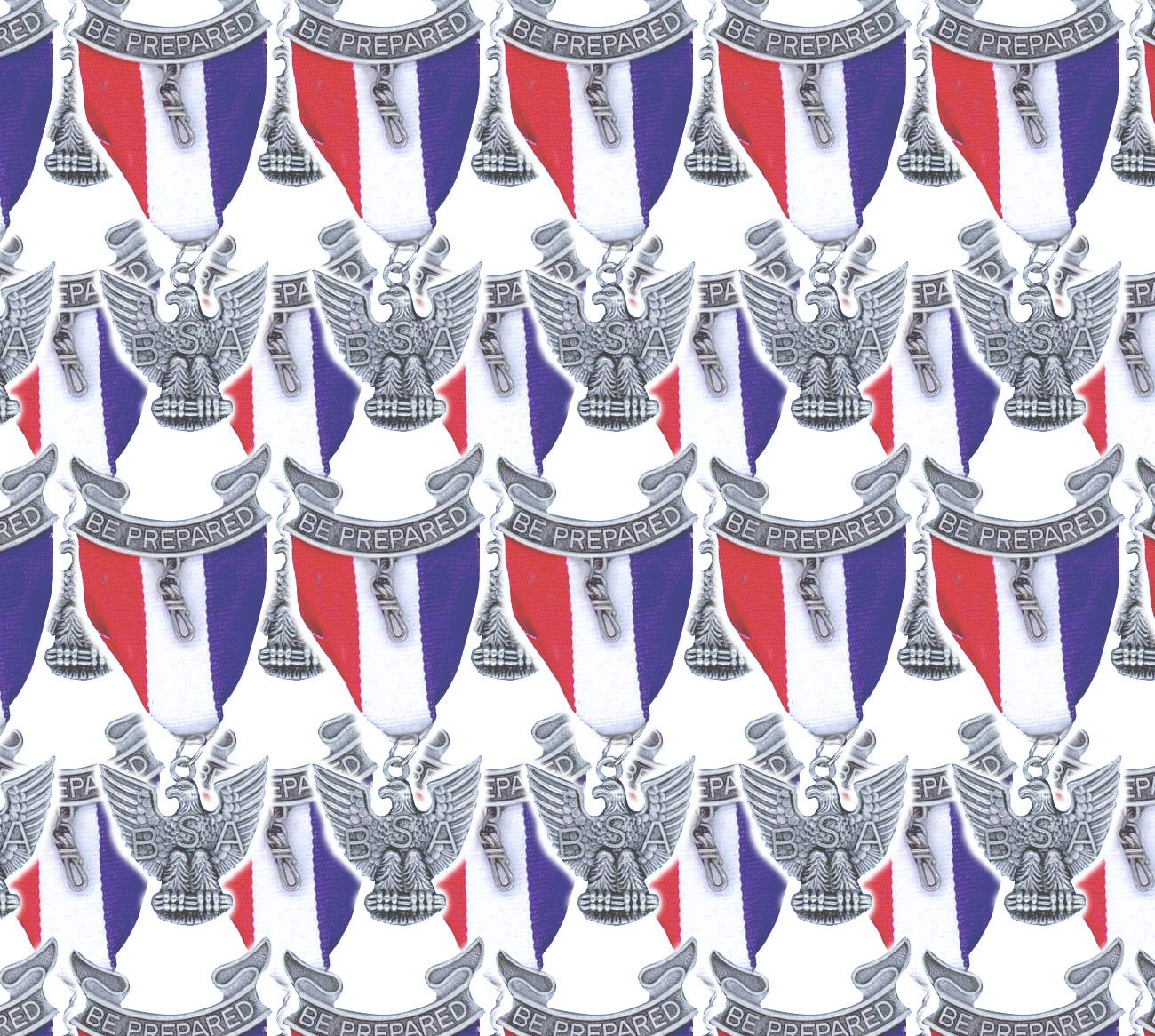 Image Detail For Pin Eagle Scout Gift Background Picture To