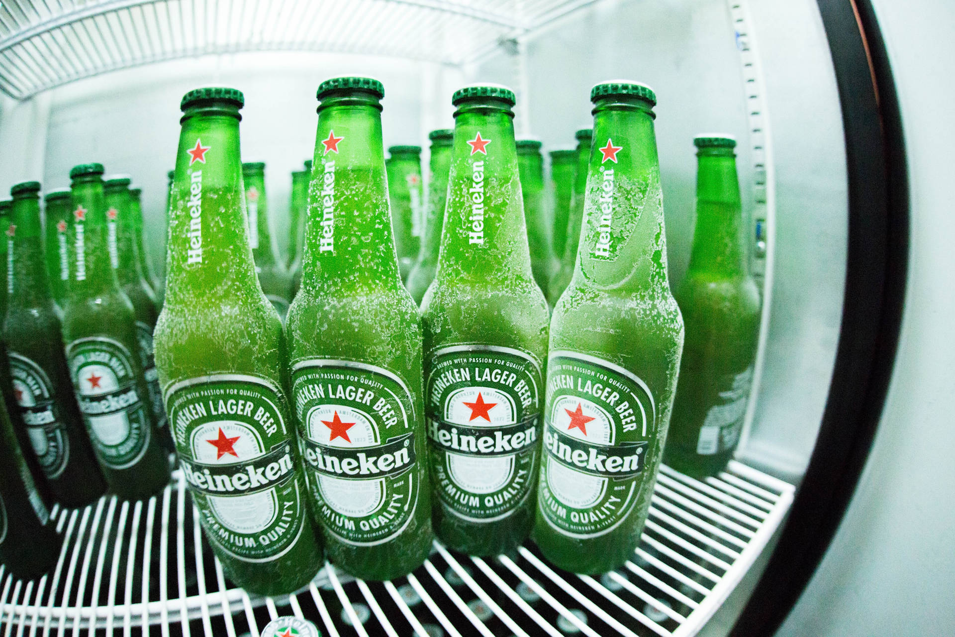 Beer Bottle Wallpaper