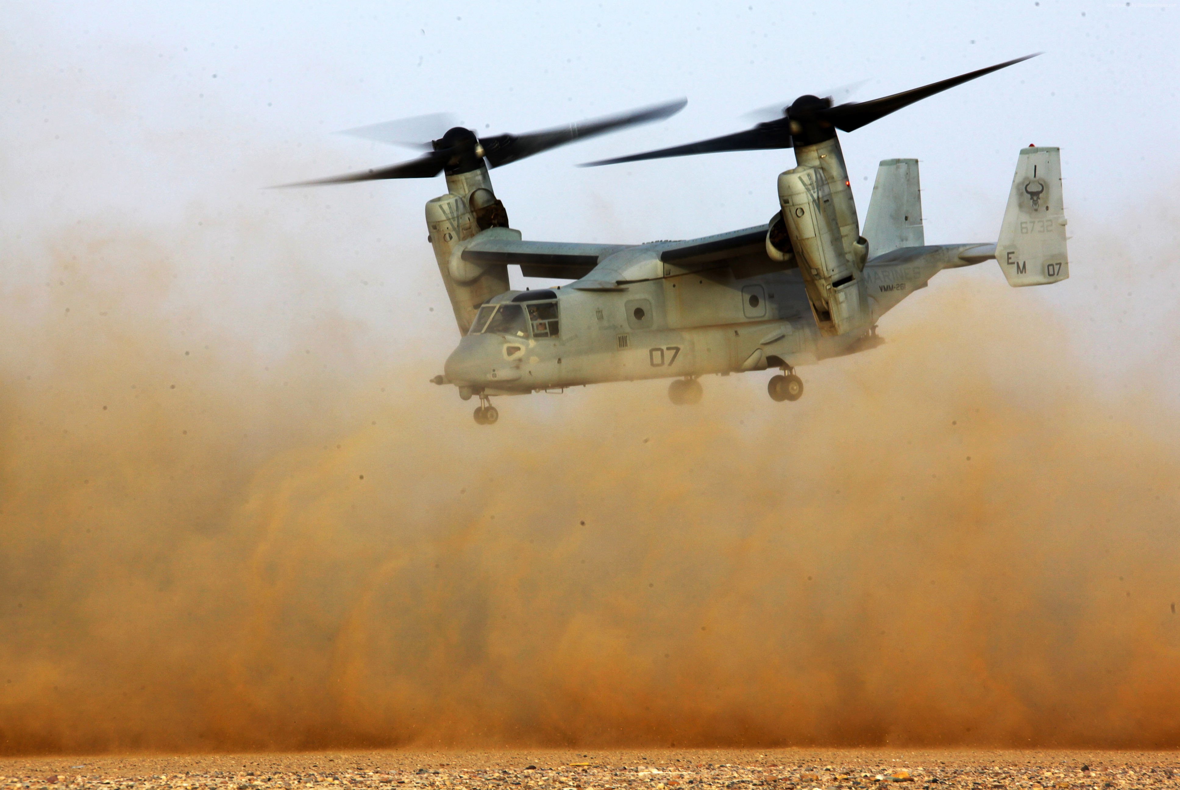 Best Osprey Wallpaper