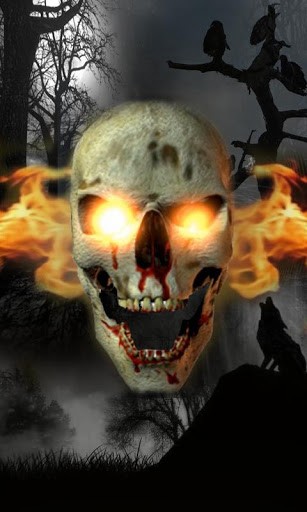 Skull On Fire Color Flame Lwp App For Android