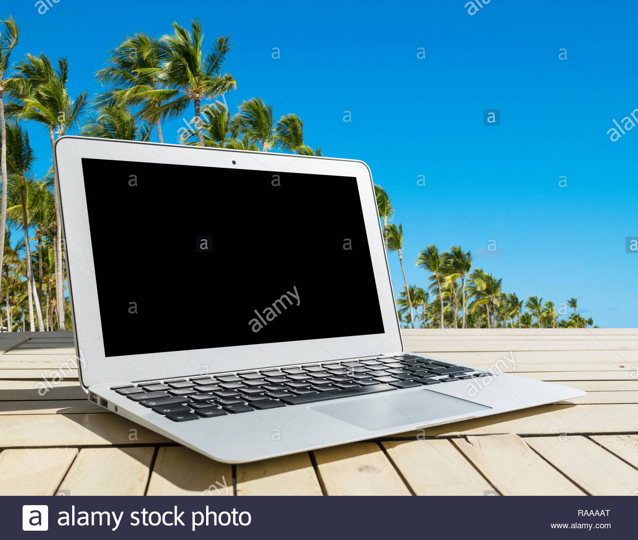 Laptop Puter On Wooden Table Front Palm Tropical Island