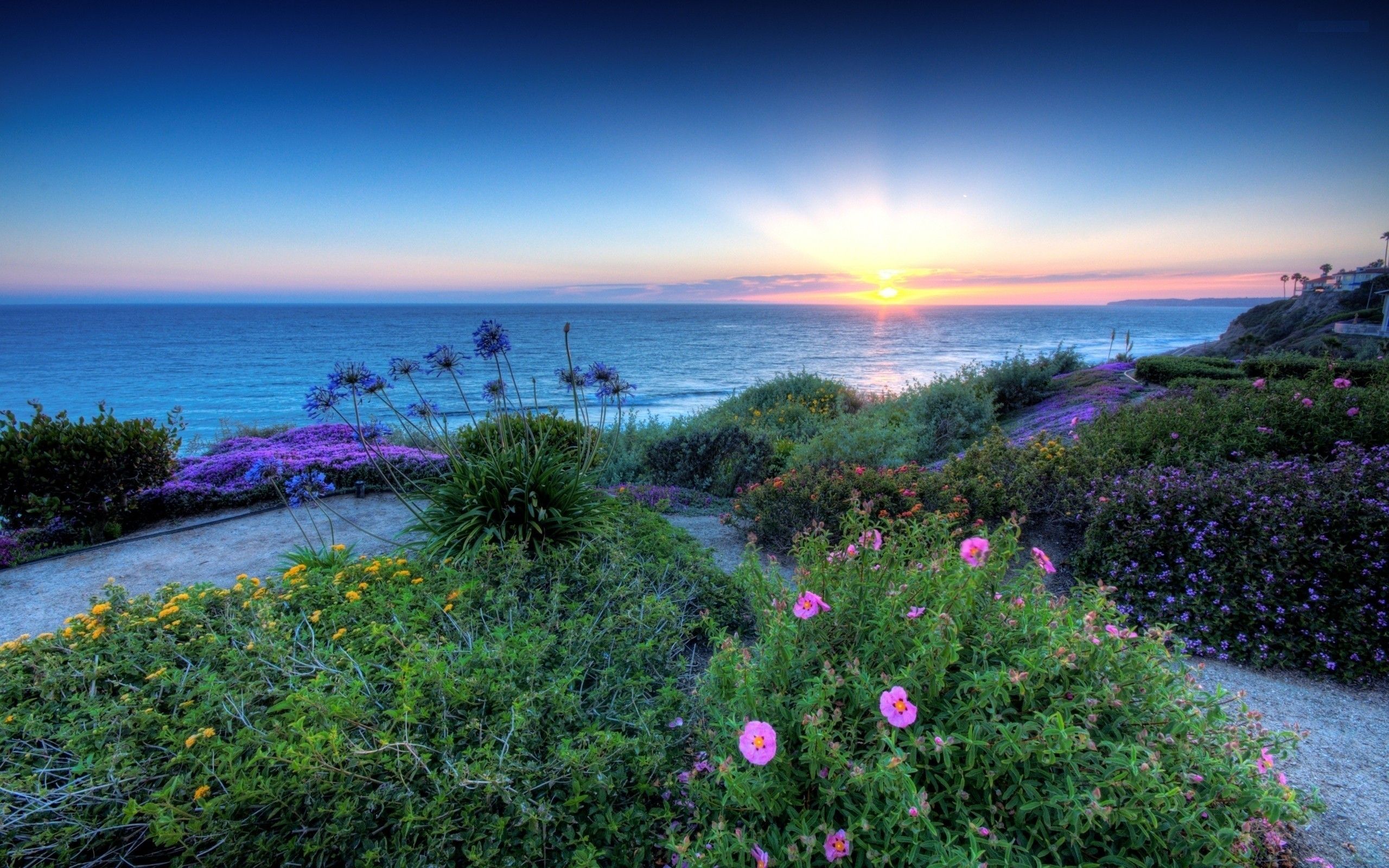 Beautiful Sunshine Wallpaper On