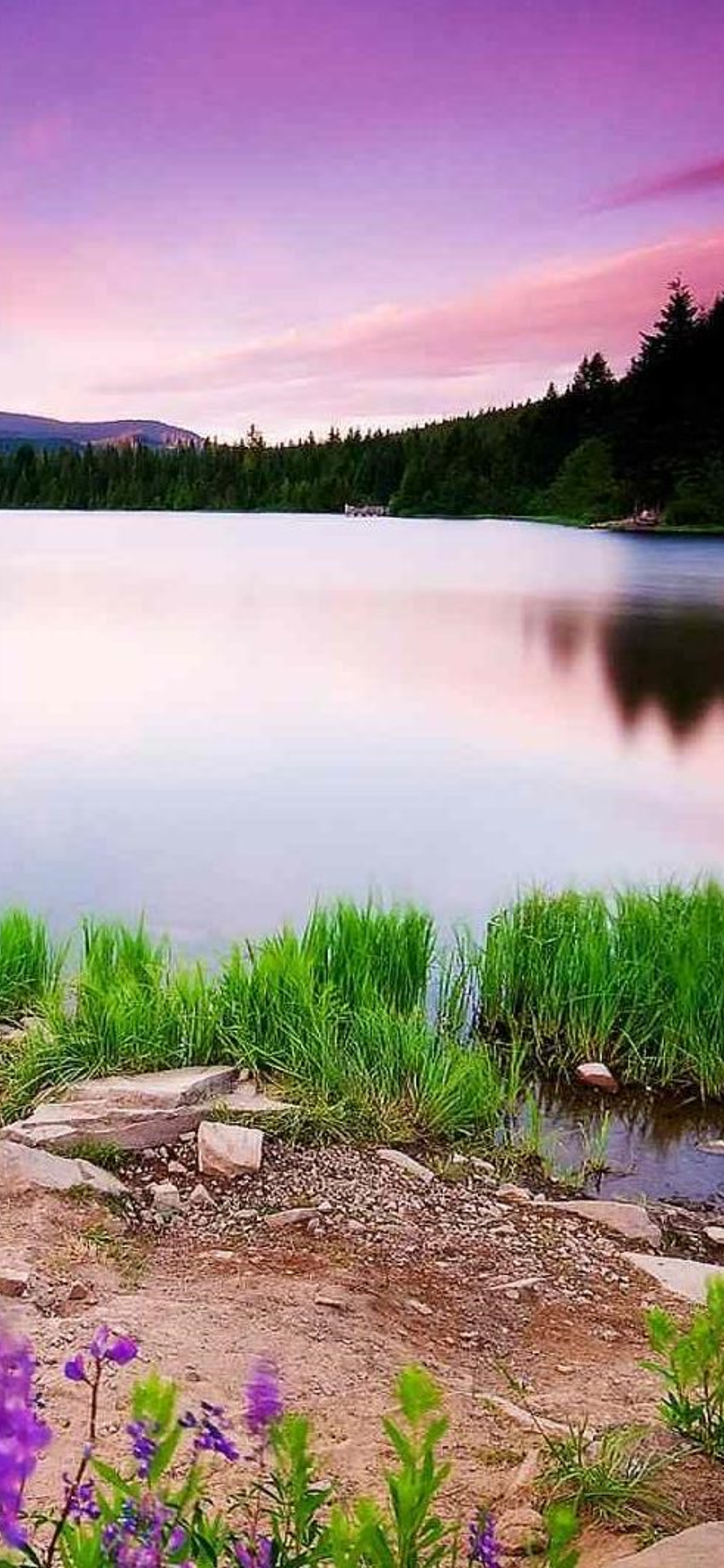 Nature Scenery iPhone Xs X HD 4k Wallpaper