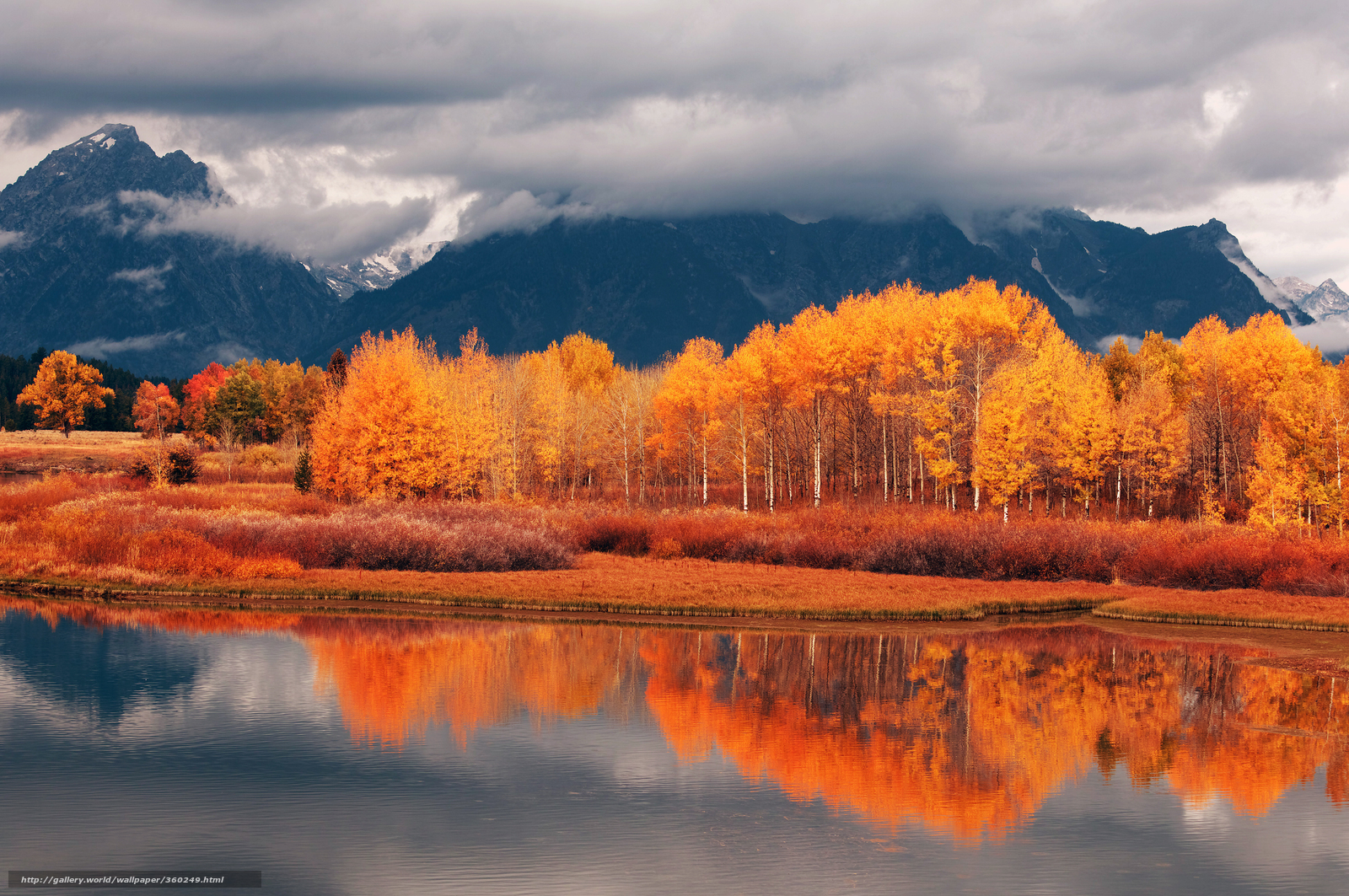 Wallpaper Forest Autumn Mountains River Desktop