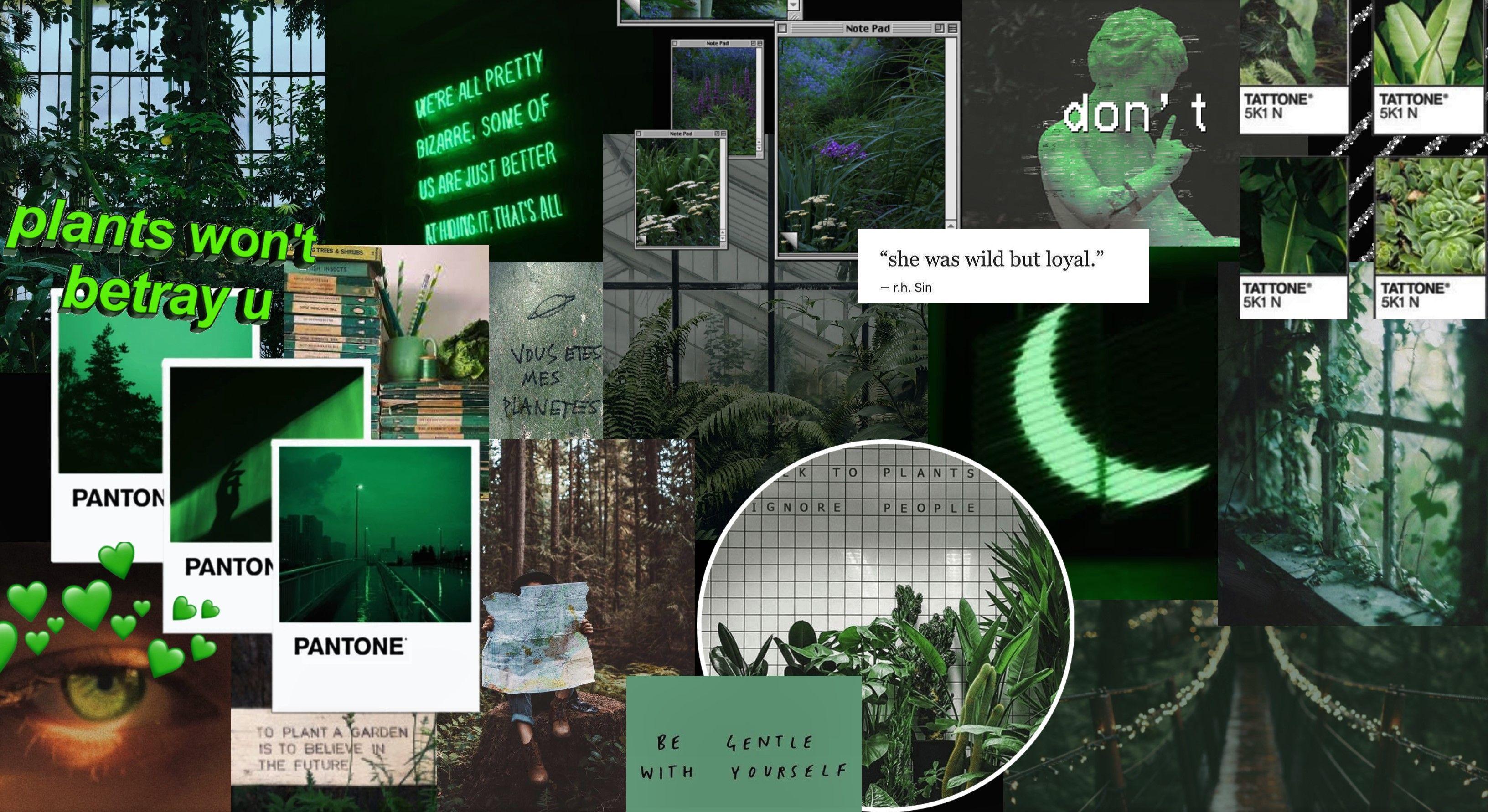 Dark Green Grunge Wallpaper Aesthetic Nature Desktop