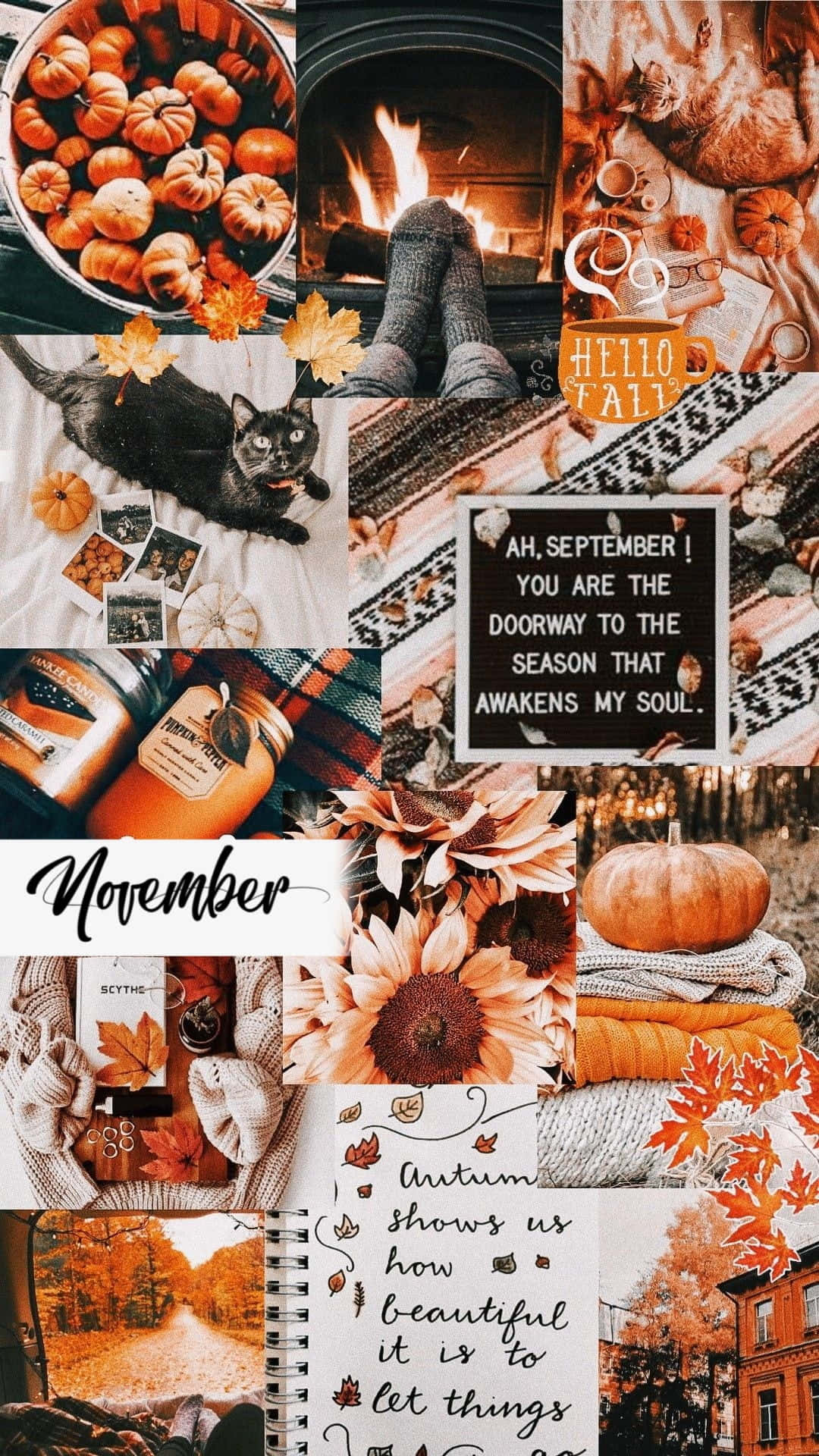 Welcome To The Cozy Month Of November Wallpaper