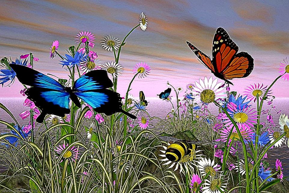 Animated Butterflies HD Wallpaper
