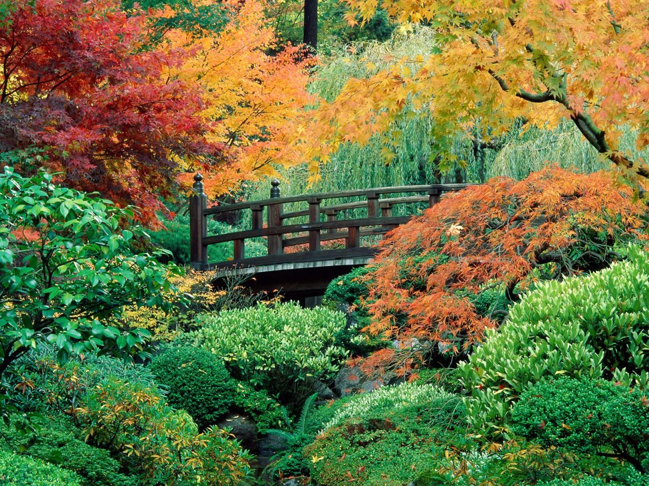 Landscape Autumnscene Wallpaper Autumn Scene